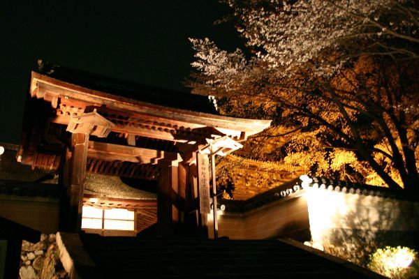 三井寺春のライトアップ